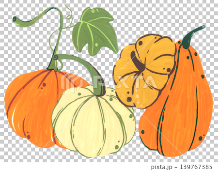 Pumpkin hand drawn illustration, cute autumn thanksgiving harvest collection with squash gourd leaves, cozy farm decor, organic seasonal vegetable card graphic design 139767385