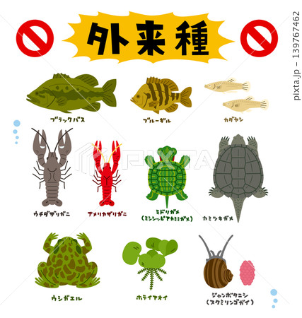 外来種10種の主線なしイラスト 139767462