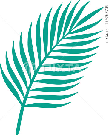 Minimal Tropical Palm Frond Leaf Flat Illustration for Summer Design 139767739