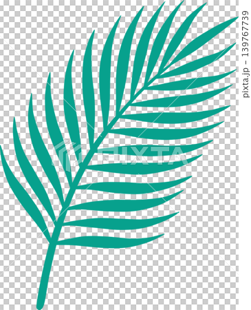 Minimal Tropical Palm Frond Leaf Flat Illustration for Summer Design 139767739
