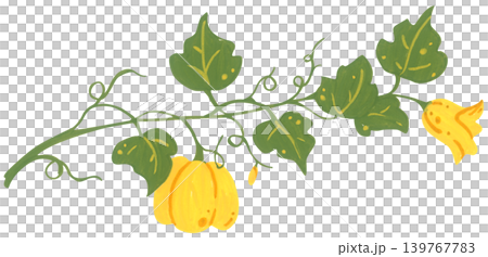 Pumpkin corner border hand drawn illustration, autumn thanksgiving frame with leaves vine botanical bloom, cozy harvest foliage decoration. Pumpkin corner border hand drawn illustration, autumn thanksgiving frame with leaves vine botanical bloom, cozy harvest foliage decoration. 139767783