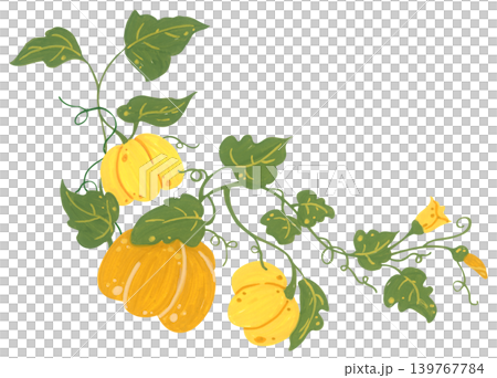 Pumpkin corner border hand drawn illustration, autumn thanksgiving frame with leaves vine botanical bloom, cozy harvest foliage decoration. Pumpkin corner border hand drawn illustration, autumn thanksgiving frame with leaves vine botanical bloom, cozy harvest foliage decoration. 139767784