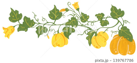 Pumpkin corner border hand drawn illustration, autumn thanksgiving frame with leaves vine botanical bloom, cozy harvest foliage decoration. Pumpkin corner border hand drawn illustration, autumn thanksgiving frame with leaves vine botanical bloom, cozy harvest foliage decoration. 139767786