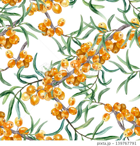 Sea buckthorn seamless pattern with branches of ripe orange berries and green leaves. Hand drawn watercolor illustration. For cosmetics, tea and juice labels. Suitable for textiles and wrapping paper. 139767791