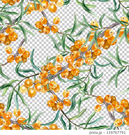 Sea buckthorn seamless pattern with branches of ripe orange berries and green leaves. Hand drawn watercolor illustration. For cosmetics, tea and juice labels. Suitable for textiles and wrapping paper. 139767791