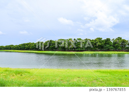 緑に囲まれた池のある風景 緑に囲まれた池のある風景 139767855