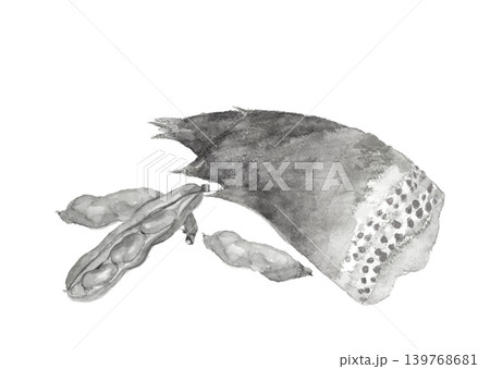水墨画風水彩で描いた筍とそら豆のセット モノトーン素材【手描き】白バック 切り抜き コピースペース 139768681