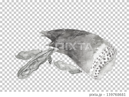 水墨画風水彩で描いた筍とそら豆のセット モノトーン素材【手描き】白バック 切り抜き コピースペース 139768681