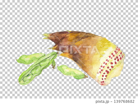 水彩で描いた筍とそら豆のセットイラスト素材【手描き】白バック 切り抜き コピースペースあり 139768682