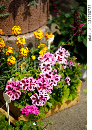 Outdoor Flower Garden Display with Potted Plants and Blooming Spring Flowers 139768725