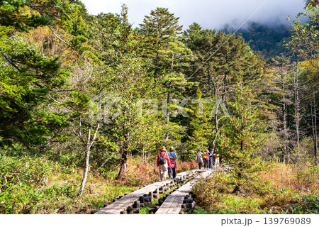 秋の上高地「梓川右岸道・岳沢湿原」《長野県 松本市》 秋の上高地「梓川右岸道・岳沢湿原」《長野県 松本市》 139769089