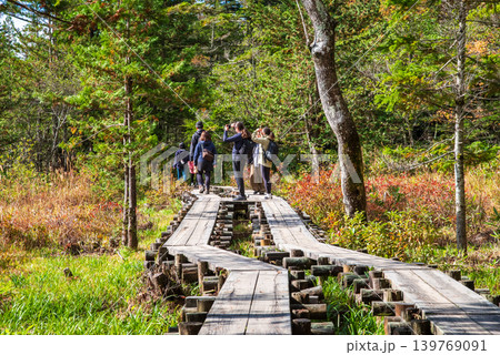 秋の上高地「梓川右岸道・岳沢湿原」《長野県 松本市》 秋の上高地「梓川右岸道・岳沢湿原」《長野県 松本市》 139769091