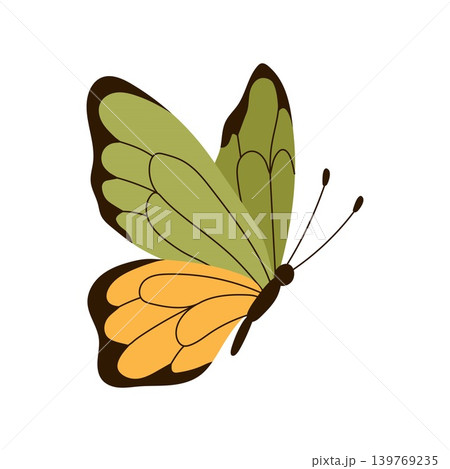 Cute butterfly with green and yellow wings isolated on white background vector illustration Cute butterfly with green and yellow wings isolated on white background vector illustration 139769235