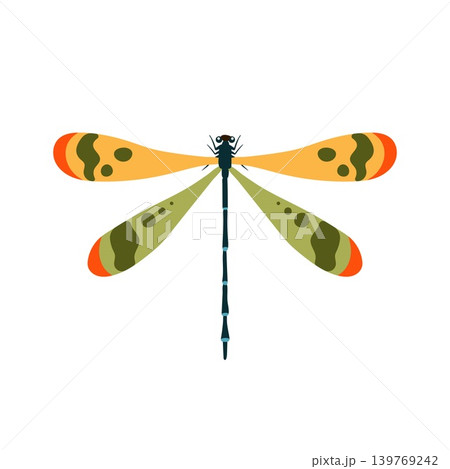 Colorful dragonfly with patterned wings top view vector illustration isolated on white background Colorful dragonfly with patterned wings top view vector illustration isolated on white background 139769242