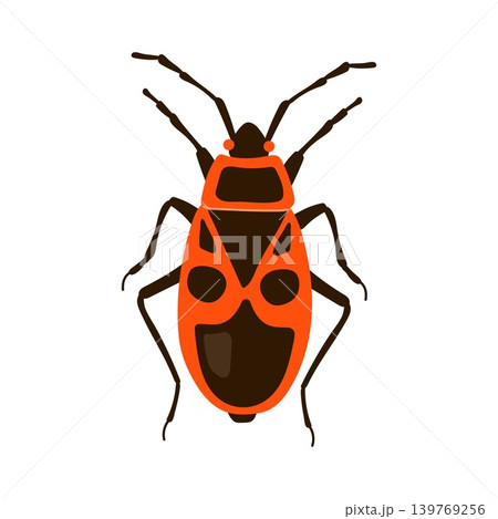 Red firebug insect with black pattern vector illustration isolated on white background Red firebug insect with black pattern vector illustration isolated on white background 139769256
