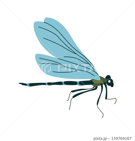 Blue dragonfly insect side view vector illustration isolated on white background Blue dragonfly insect side view vector illustration isolated on white background 139769267