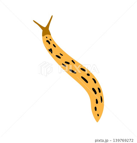 Yellow spotted slug crawling vector illustration isolated on white background 139769272