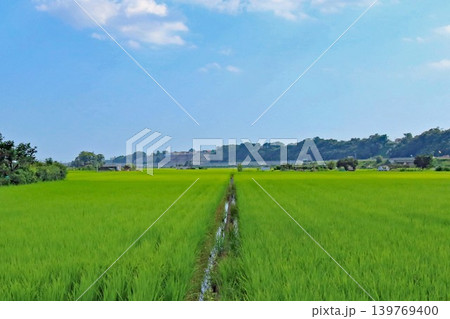 自動車専用道路沿いの田園風景 自動車専用道路沿いの田園風景 139769400