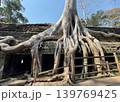 アンコール遺跡群のタ・プロームの巨木と遺跡、2026年1月 139769425