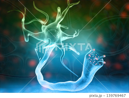 Neurons and nervous system on science background 139769467