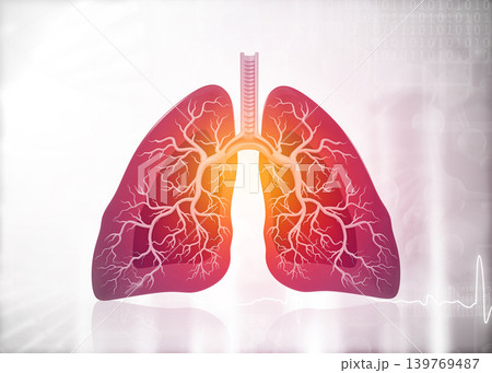 Anatomy of human lungs Anatomy of human lungs 139769487