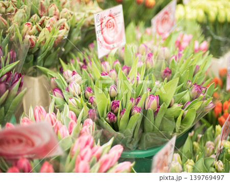 Beautiful tulips are sold in the store 139769497