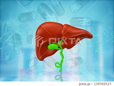 Human liver anatomy on science background Human liver anatomy on science background 139769523