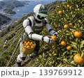 人型ロボットが、みかん畑でみかんの収穫をしている 人型ロボットが、みかん畑でみかんの収穫をしている 139769912
