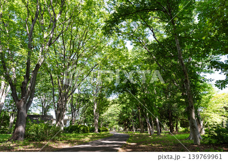 神代植物公園 自由広場 新緑の中を散歩 東京都調布市深大寺北町 神代植物公園 自由広場 新緑の中を散歩 東京都調布市深大寺北町 139769961