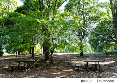 神代植物公園 自由広場 テーブルと椅子 東京都調布市深大寺北町 神代植物公園 自由広場 テーブルと椅子 東京都調布市深大寺北町 139769966