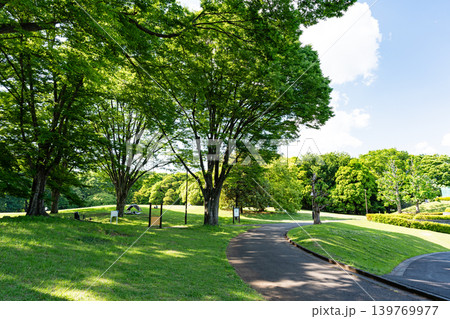 神代植物公園 自由広場　テントでキャンプ　東京都調布市深大寺北町 139769977