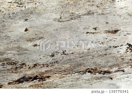 Weathered Wood Texture With Natural Rustic Pattern 139770341