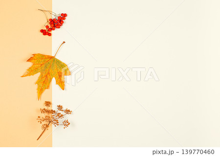 Autumn background with yellow maple leaf and rowan berries. Yellow pastel background. Autumn background with yellow maple leaf and rowan berries. Yellow pastel background. 139770460