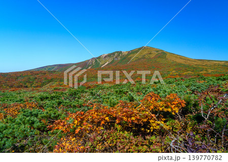 紅葉の栗駒山 神の絨毯と呼ばれる絶景登山風景 紅葉の栗駒山 神の絨毯と呼ばれる絶景登山風景 139770782