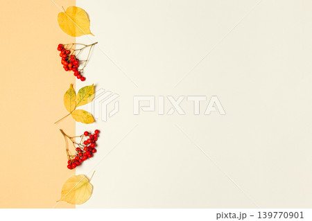 Autumn background with yellow leaves and rowan berries. Yellow pastel background. Autumn background with yellow leaves and rowan berries. Yellow pastel background. 139770901