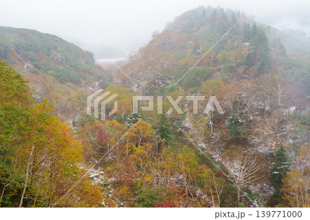 十勝岳温泉 初雪と紅葉が彩る霧の幻想的な秋景色 139771000