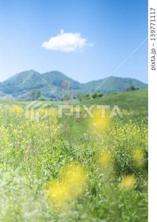 新緑・初夏の蒜山高原 139771117