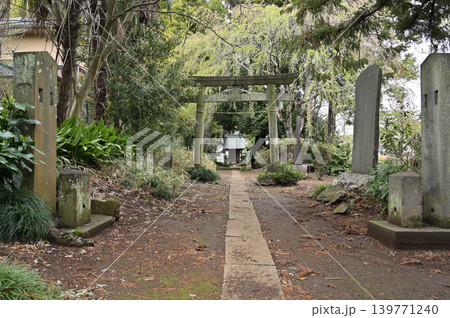 岩槻散歩:月讀神社 参道 / 鳥居 /社殿 岩槻散歩:月讀神社 参道 / 鳥居 /社殿 139771240
