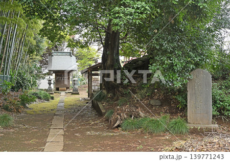 岩槻散歩:月讀神社 境内社・富士浅間神社 岩槻散歩:月讀神社 境内社・富士浅間神社 139771243