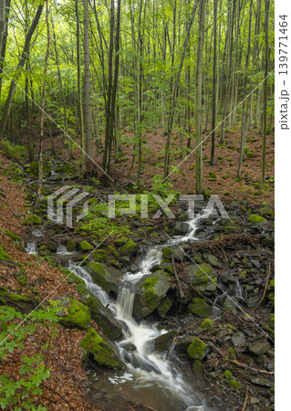 Starohutiansky waterfall near Nova Bana and Zarnovica, Pohronsky Inovec mountains, Slovakia Starohutiansky waterfall near Nova Bana and Zarnovica, Pohronsky Inovec mountains, Slovakia 139771464