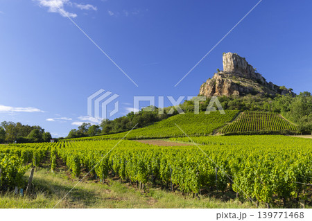 Rock of Solutre with vineyards, Burgundy, Solutre-Pouilly, France Rock of Solutre with vineyards, Burgundy, Solutre-Pouilly, France 139771468