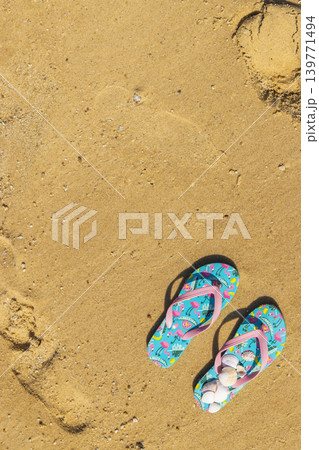 flip flops with seashells on the beach 139771494
