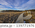 nature reserve Olsina, Sumava National Park, Czech Republic 139771976