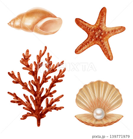 Collection Watercolor illustration of marine elements including various seashells, a pearl in a shell, starfish, red coral. Children's, nautical, travel themes. Suitable for design, prints, postcards Collection Watercolor illustration of marine elements including various seashells, a pearl in a shell, starfish, red coral. Children's, nautical, travel themes. Suitable for design, prints, postcards 139771979