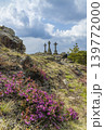 Krizky National Natural Monument, Western Bohemia, Czech Republic 139772000