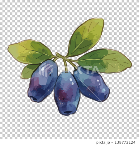 ハスカップのイラスト 139772124