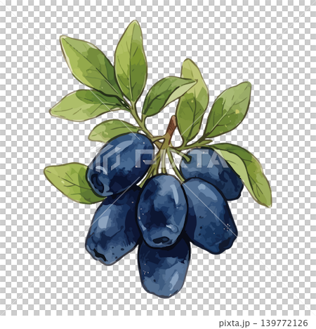 ハスカップのイラスト 139772126