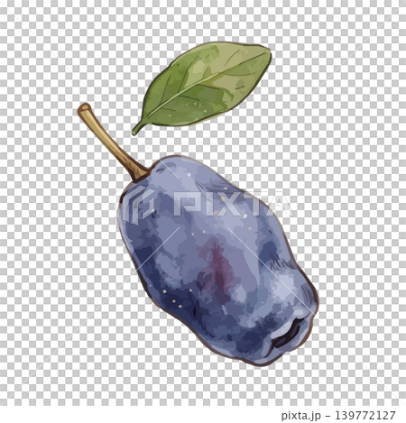 ハスカップのイラスト ハスカップのイラスト 139772127