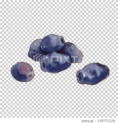 ハスカップのイラスト ハスカップのイラスト 139772129