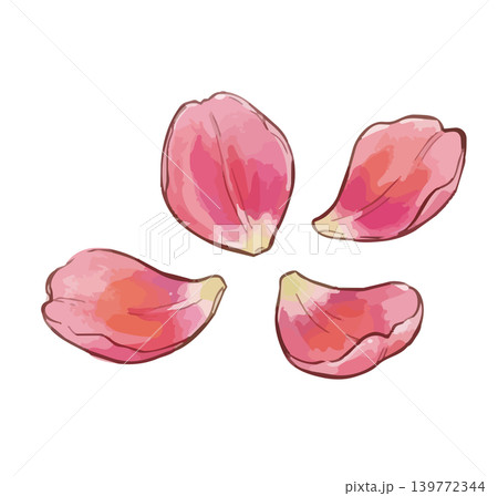 チューリップのイラスト 139772344